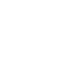 Original ElasticIT mark (white)